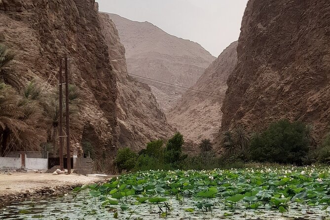 Wadi Shab Expedition - Swimming in the aquamarine pools