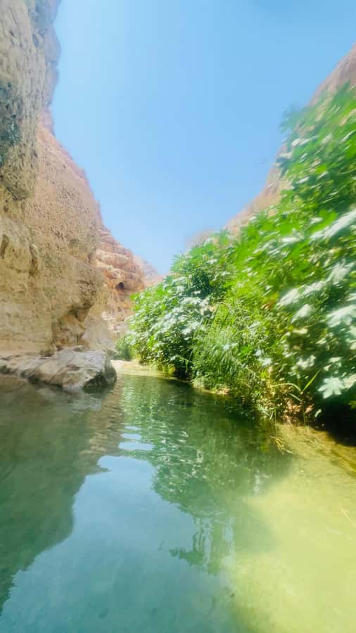 Wadi Shab Parking Meet the Local Guide for Self drivers - What to pack for Wadi Shab