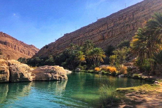 Wahiba Sands and Desert Safari from Muscat - Private 4WD transport makes the long day easier