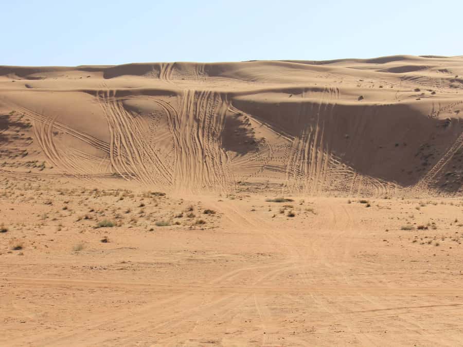 Wahiba Sands and Wadi Bani Khalid Full-Day Tour from Muscat - FAQ
