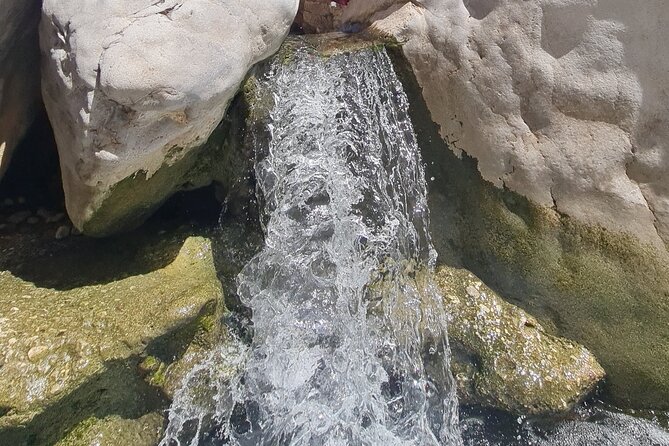 Wahiba Sands Desert and Wadi Hawar Private Tour - Who will enjoy this day most?
