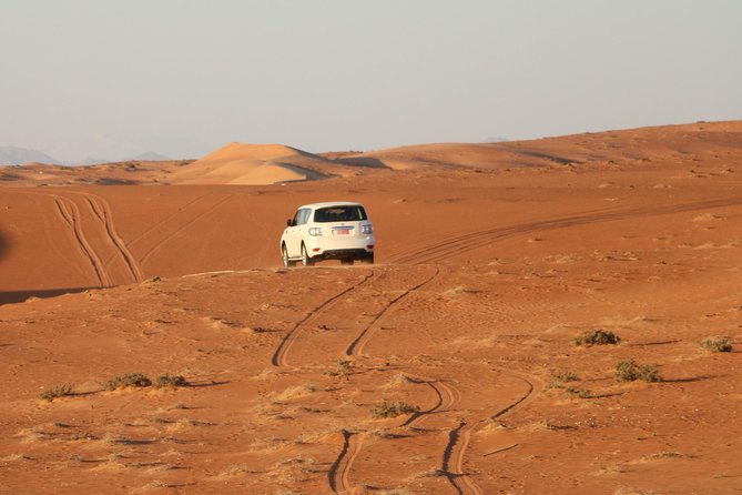 Wahiba Sands Safari with Wadi swimming and Camelride - What to bring and what to confirm