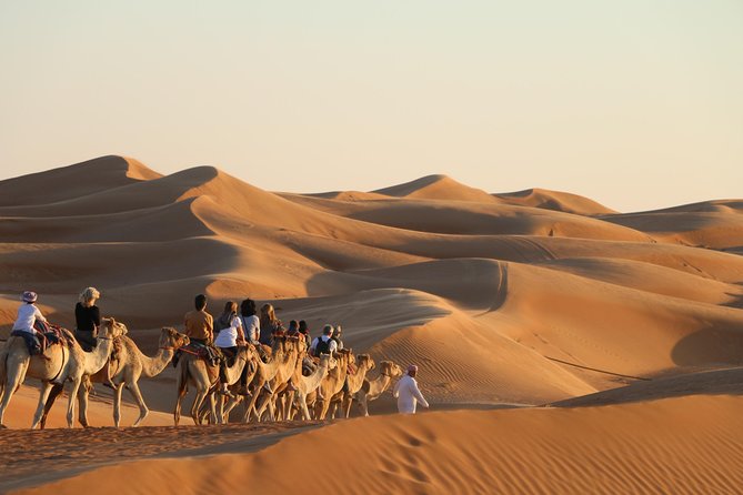 Wahiba Sands Safari with Wadi swimming and Camelride - Leaving Muscat at 7:00 am