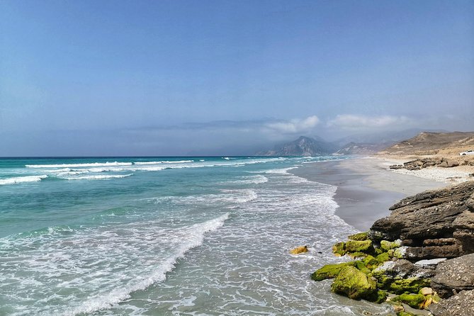 West Salalah, Al Mughsail Beach, White Beach, Frankincense Tree (Half day Tour) - From Salalah to the white sands of Al Mughsail
