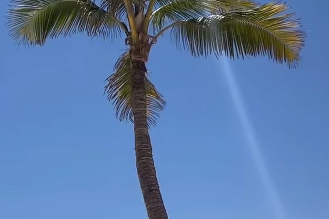 West Salalah Beaches and Blowholes - What the $80 price really buys you