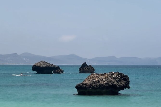 West Salalah Beaches and Blowholes - Who will get the most from this half-day