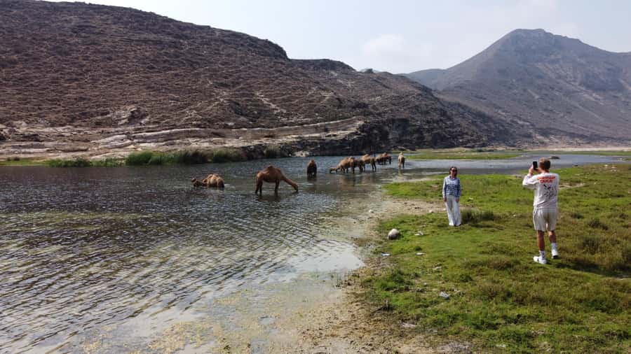 West Salalah Highlights: Coastal Wonders & Scenic Views - Why West Salalah works so well in one outing