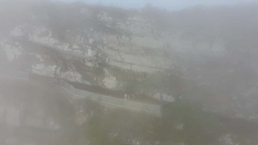 West Salalah Highlights: Coastal Wonders & Scenic Views - Frankincense trees and Dhofar’s old trade
