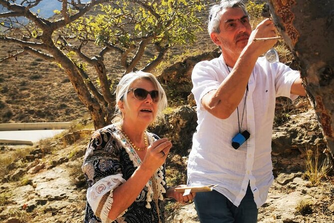 West Salalah Tour by VisitSalalah - Small-group transport and what is included