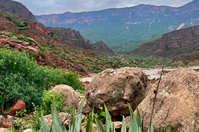 Your Salalah Tour-Your German speaking tour provider/mountain tour - Jebel Samhan at almost 2,000 meters